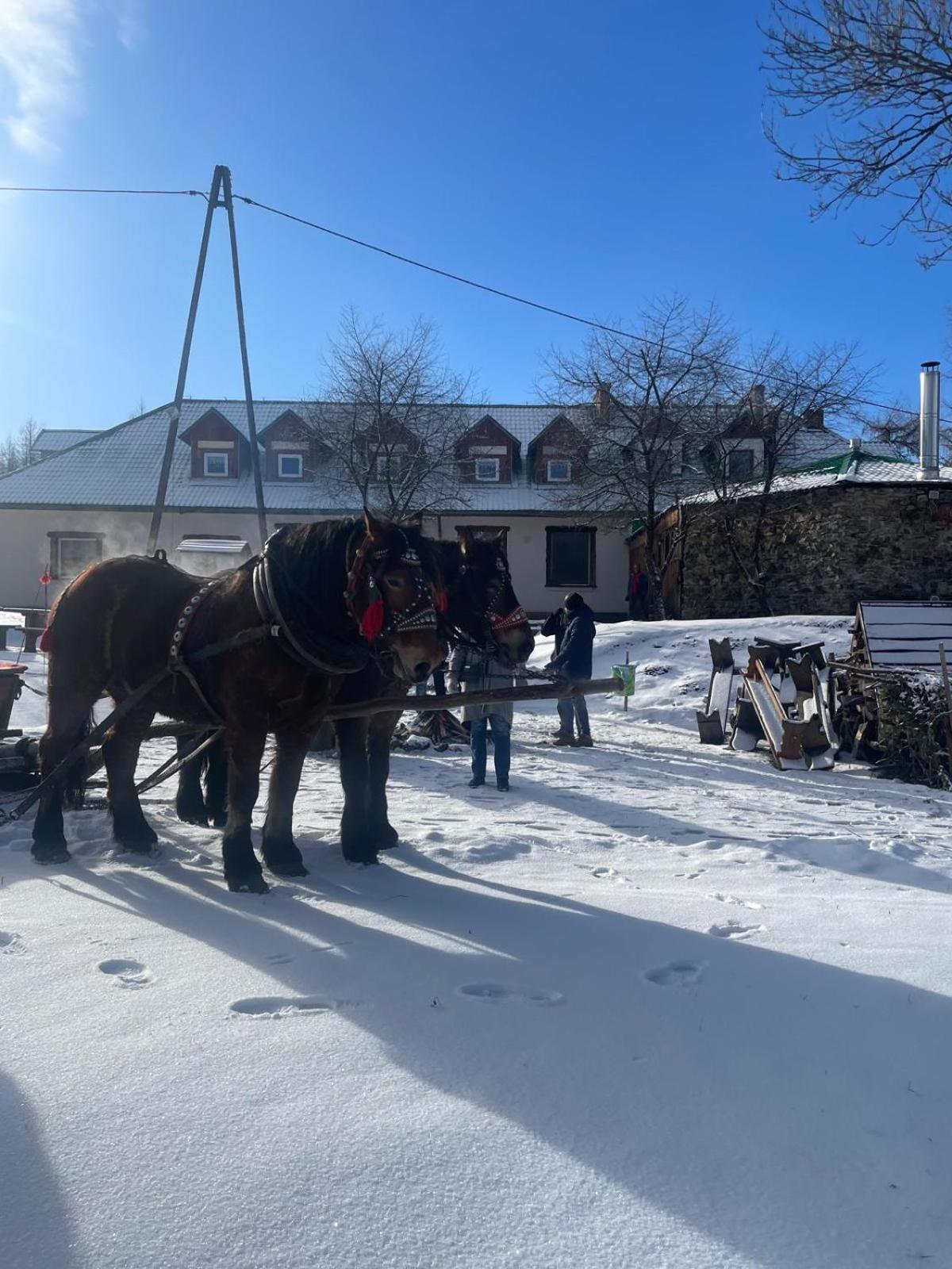 Latarnia Wagabundy Bieszczady Hotell Wola Michowa Eksteriør bilde