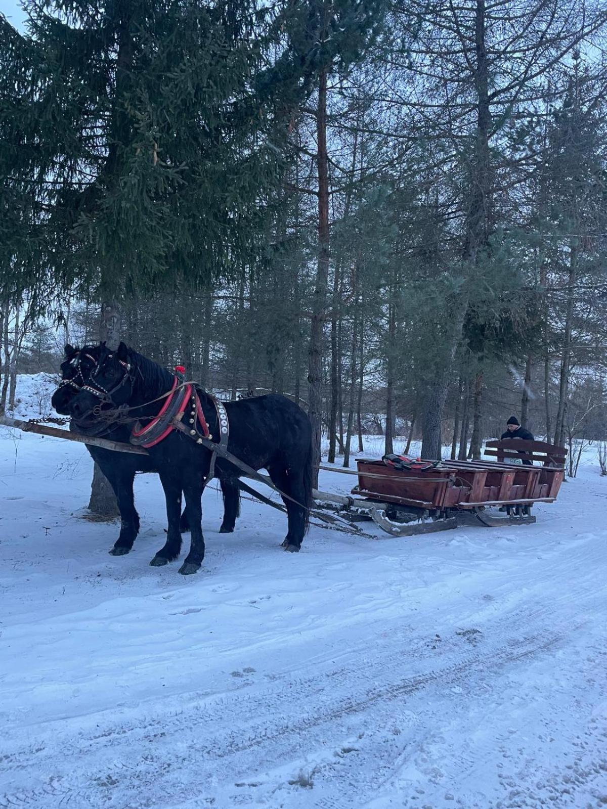 Latarnia Wagabundy Bieszczady Hotell Wola Michowa Eksteriør bilde